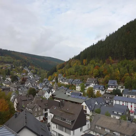 Lägenhet In The Centre Of With View Willingen (Upland)