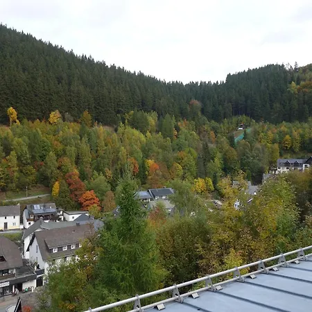 In The Centre Of With View Willingen (Upland)