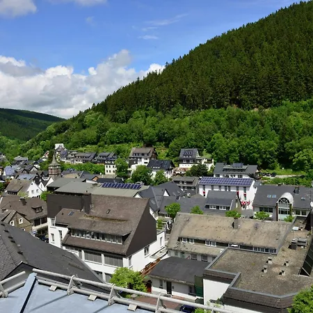 In The Centre Of With View * Willingen (Upland)