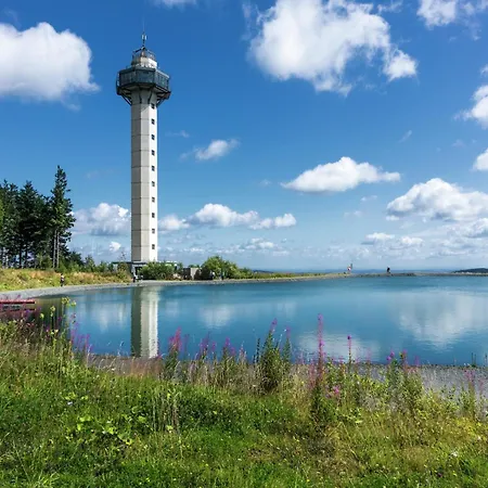 In The Centre Of With View Willingen (Upland)