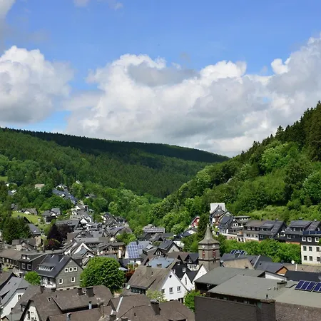 Apartment In The Centre Of With View Willingen (Upland)