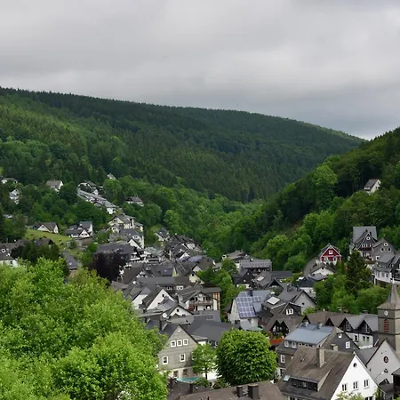 In The Centre Of With View Apartment Willingen (Upland)